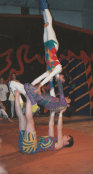paul_mccluskey_web_page004005.jpg